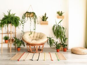 Pflanzenzubehör für Einsteiger: Die Grundausstattung für Deine Zimmerpflanzen